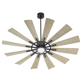 Cirque 60''Patio Fan in Matte Black (19|46012-5942)