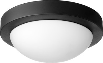 3505 Contempo Ceiling Mounts Two Light Wall Mount in Textured Black (19|3505-11-69)