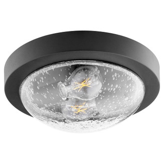 3502 Contempo Ceiling Mounts Two Light Ceiling Mount in Textured Black w/ Clear/Seeded (19|3502-11-69)