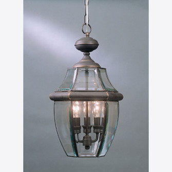 Newbury Three Light Outdoor Hanging Lantern in Medici Bronze (10|NY1179Z)