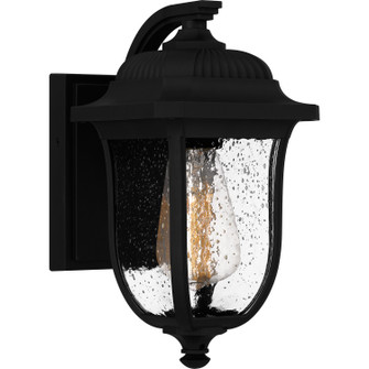 Mulberry One Light Outdoor Wall Mount in Matte Black (10|MUL8406MBK)