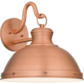 Jameson One Light Outdoor Wall Mount in Aged Copper (10|JAM8414AC)