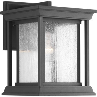 Endicott One Light Wall Lantern in Black (54|P5605-31)