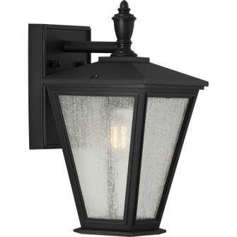 Cardiff One Light Wall Lantern in Black (54|P560166-031)