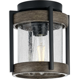 Whitmire One Light Outdoor Flushmount in Matte Black (54|P550109-31M)