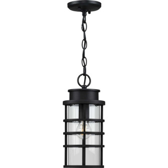 Port Royal One Light Hanging Lantern in Black (54|P550061-031)