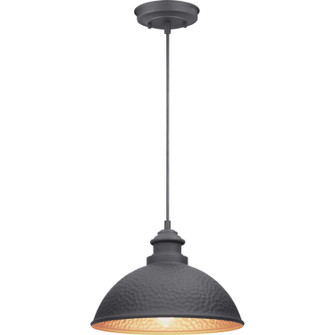 Englewood One Light Hanging Lantern in Black (54|P550032-031)