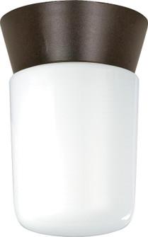 One Light Ceiling Mount in Bronzotic (72|SF77-156)