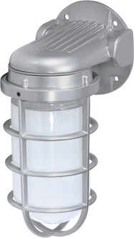 One Light Wall Lantern in Metallic Silver (72|SF76-620)