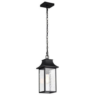 Austen One Light Outdoor Hanging Lantern in Matte Black (72|60-5996)