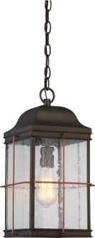 Howell One Light Hanging Lantern in Bronze / Copper Accents (72|60-5836)