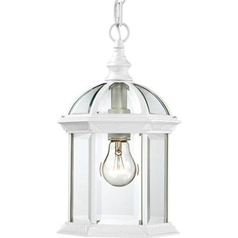 Boxwood One Light Hanging Lantern in White (72|60-4977)