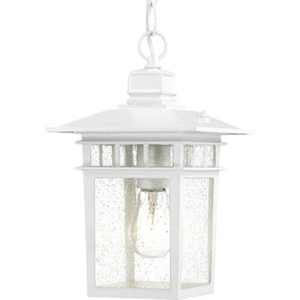 Cove Neck One Light Hanging Lantern in White (72|60-4954)