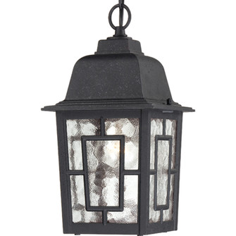 Banyan One Light Hanging Lantern in Textured Black (72|60-4933)
