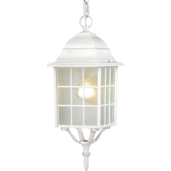 Adams One Light Hanging Lantern in White (72|60-4911)