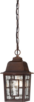 Banyan One Light Hanging Lantern in Rustic Bronze (72|60-3490)