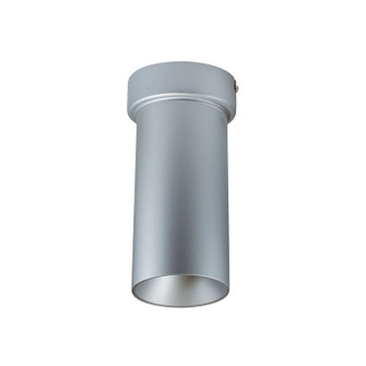 Cylinder Ilene Surface Mount Mini Cylinder in Silver (167|NYLM-3SCCDXSSLE4)