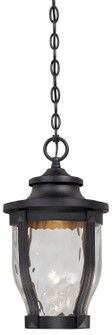 Merrimack Led LED Outdoor Chain Hung in Sand Coal (7|8764-66-L)