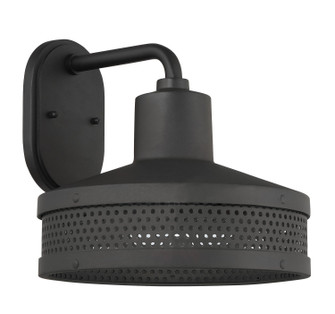 Abalone Point One Light Wall Sconce in Coal (7|73311-66)