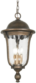 Havenwood Four Light Outdoor Chain Hung in Tauira Bronze And Alder Silver (7|73247-748)