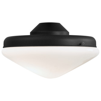 LED Light Kit for Ceiling Fan in Textured Coal (15|K9401L-TCL)