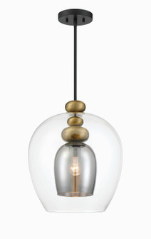 Amesbury One Light Pendant in Coal And Oxidized Aged Brass (29|N6660-865)