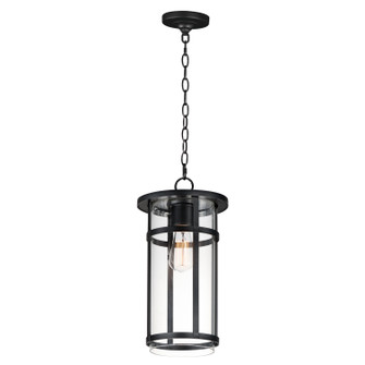 Clyde Vivex One Light Outdoor Pendant in Black (16|40629CLBK)