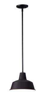 Pier M One Light Outdoor Pendant in Black (16|35017BK)