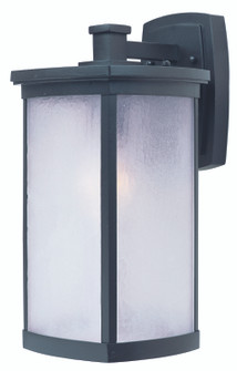 Terrace One Light Outdoor Wall Lantern in Bronze (16|3254FSBZ)