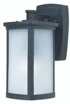 Terrace One Light Outdoor Wall Lantern in Bronze (16|3252FSBZ)