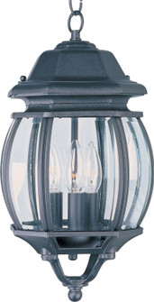 Crown Hill Three Light Outdoor Hanging Lantern in Black (16|1036BK)