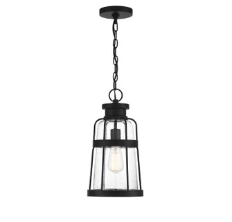 Quinton One Light Hanging Lantern in Matte Black (159|V6-L5-2943-BK)