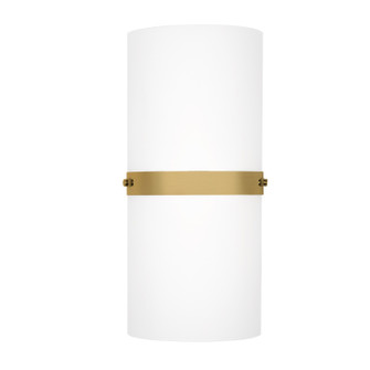 Harrow LED Wall Sconce in Brushed Gold (347|WS3413-BG)