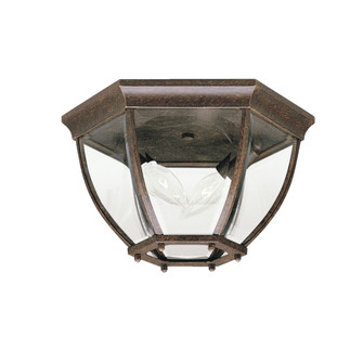 Two Light Outdoor Ceiling Mount in Tannery Bronze (12|9886TZ)
