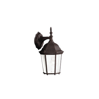 Madison One Light Outdoor Wall Mount in Tannery Bronze (12|9650TZ)
