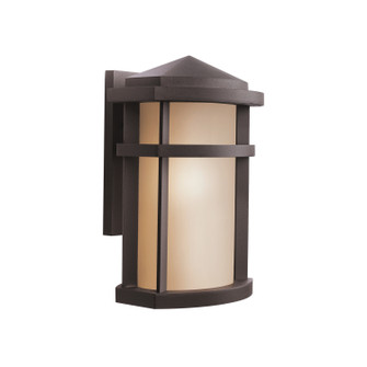 Lantana One Light Outdoor Wall Mount in Architectural Bronze (12|9167AZ)