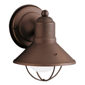 Seaside One Light Outdoor Wall Mount in Olde Bronze (12|9021OZ)