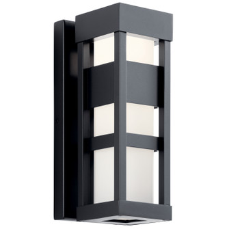 Ryler LED Outdoor Wall Mount in Black (12|59035BKLED)