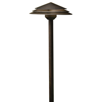 LED Path in Aged Bronze (12|16124AGZ30)
