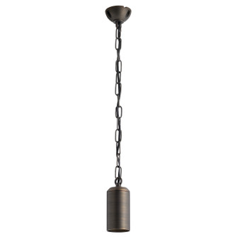 No Family One Light Hanging Lantern in Centennial Brass (12|15500CBR)