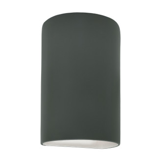 Ambiance LED Wall Sconce in Pewter Green (102|CER-5945W-PWGN)