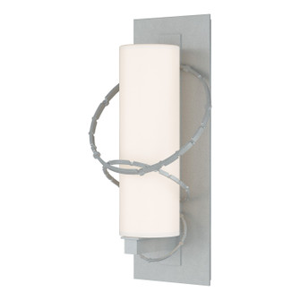 Olympus One Light Outdoor Wall Sconce in Coastal Burnished Steel (39|302402-SKT-78-GG0034)