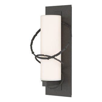 Olympus One Light Outdoor Wall Sconce in Coastal Natural Iron (39|302402-SKT-20-GG0034)
