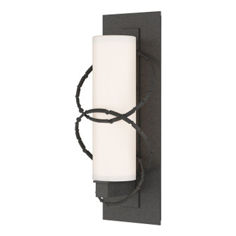 Olympus One Light Outdoor Wall Sconce in Coastal Natural Iron (39|302401-SKT-20-GG0066)