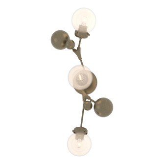 Sprig Three Light Wall Sconce in Soft Gold (39|206050-SKT-84-WF0629)