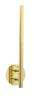 Slim-Line LED Wall Sconce in Polished Brass (30|DSCLEDZ19-61)