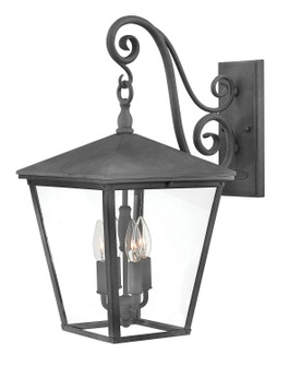 Trellis LED Wall Mount in Aged Zinc (13|1435DZ-LL)