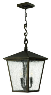 Trellis LED Hanging Lantern in Regency Bronze (13|1432RB)