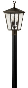 Trellis LED Post Top/ Pier Mount in Regency Bronze (13|1431RB-LL)