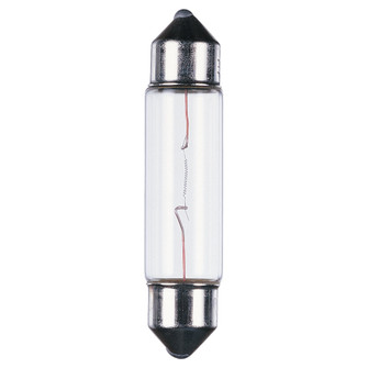 Lx Xenon Festoons Light Bulb in Clear (1|97118-32)
